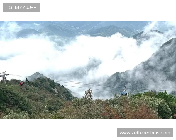 解决开云下载常见问题，快速享受无缝传输体验